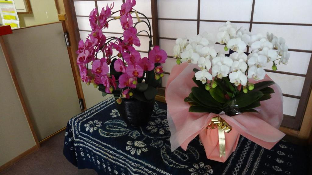 קוסאטסו Matsunoi Ryokan מראה חיצוני תמונה